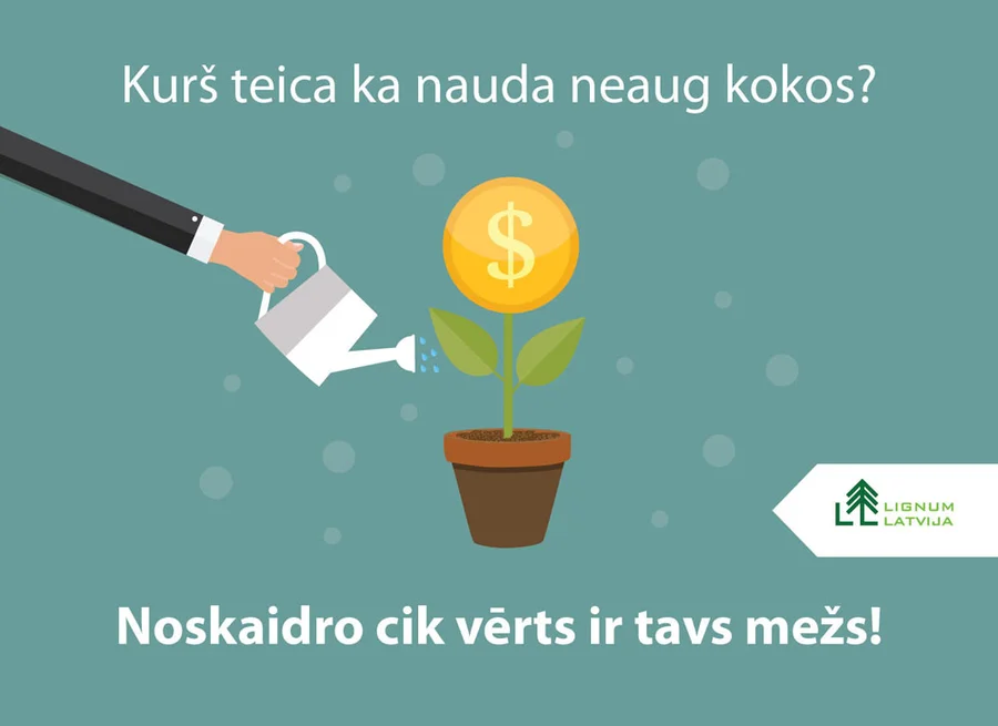 Facebook advertising design
