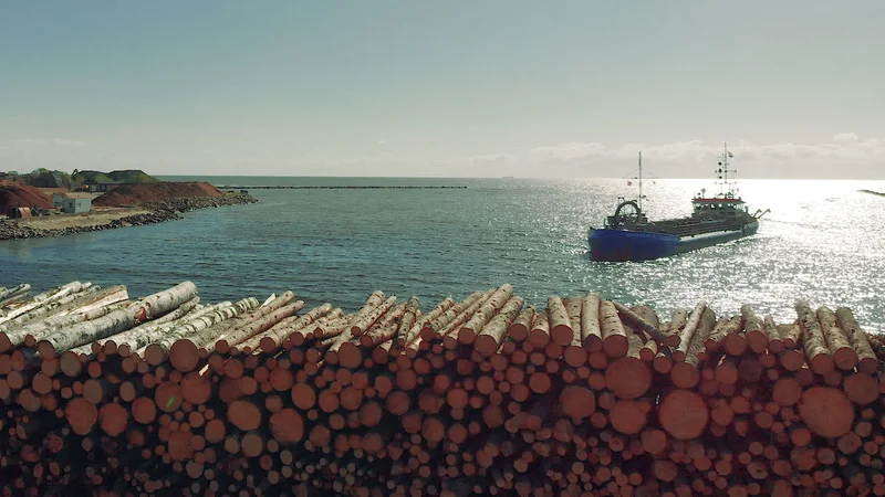 AS Latvijas valsts meži firewood supply video